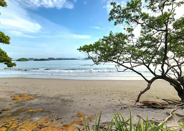 Reunion Wellness & Retreats Playa Danta