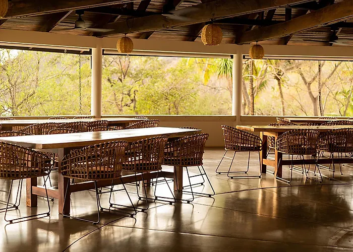Reunion Wellness & Retreats