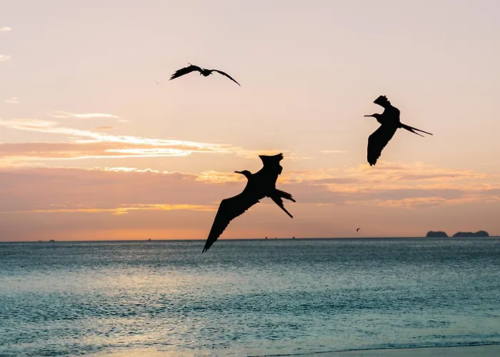 Reunion Wellness & Retreats 4* Playa Danta