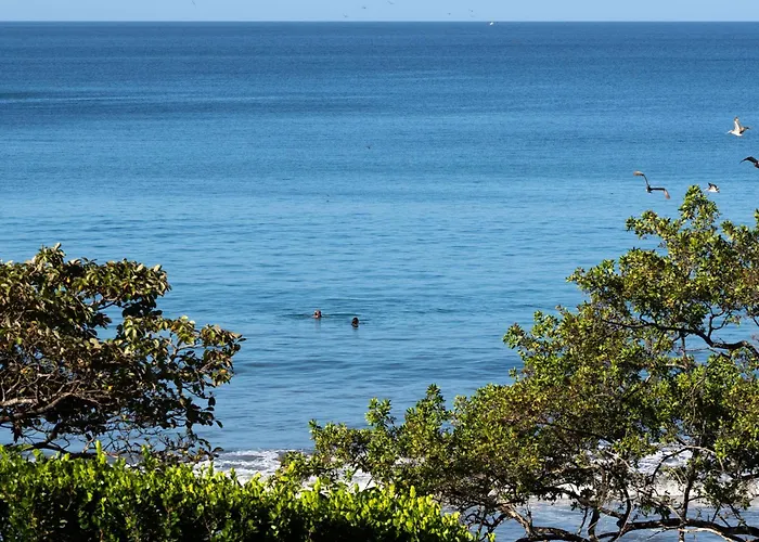 Reunion Wellness & Retreats Hotel Playa Danta